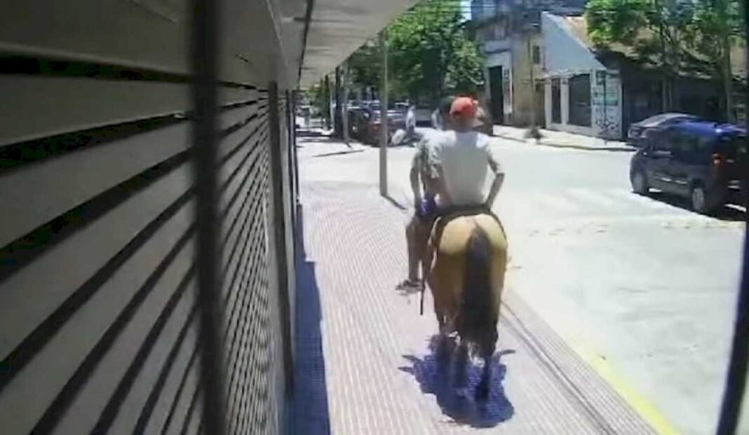 san-fernando:-cabachorros-asaltaron-a-una-mujer-en-la-parada-del-colectivo,-le-robaron-el-celular-y-se-fueron-al-galope