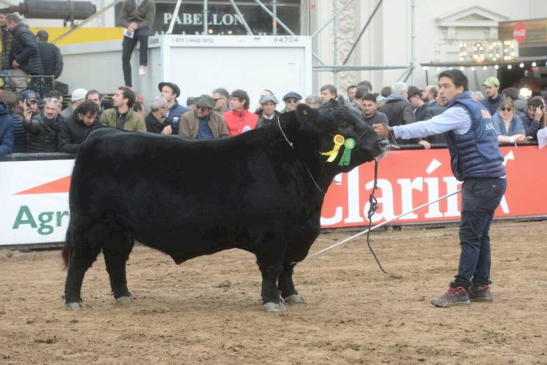 fue-mozo-en-la-rural-y-su-empresa-gastronomica-atiende-hoy-a-10.000-personas-a-la-vez