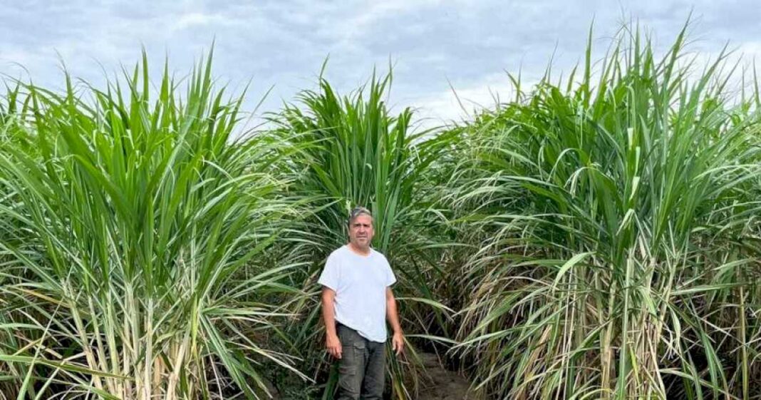 ministros-de-seis-provincias-proponen-otra-ley-para-los-biocombustibles