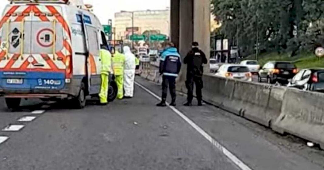 tragedia-en-la-panamericana:-intento-cruzar-la-autopista-caminando-y-murio-atropellada