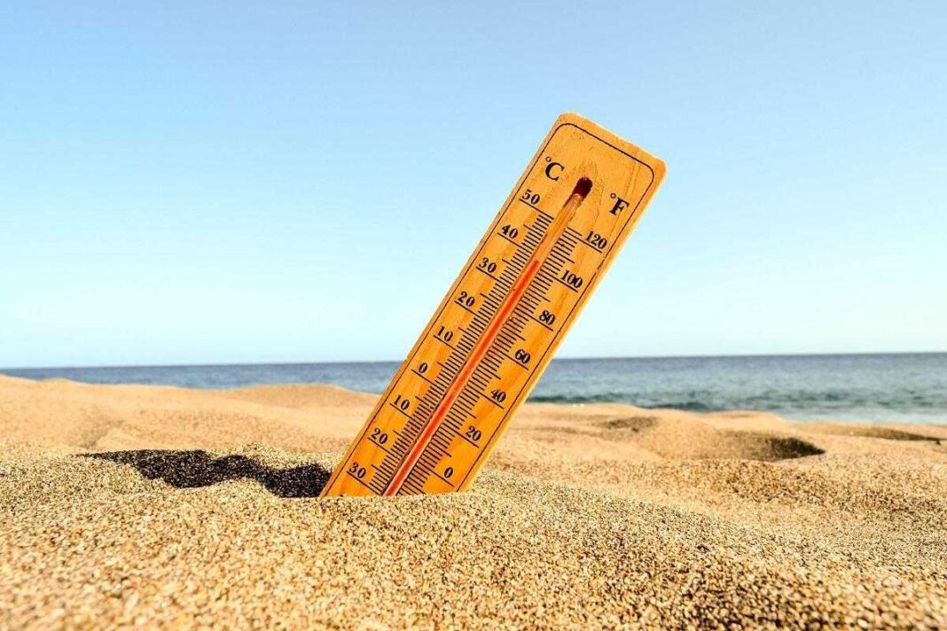 si-el-calor-reduce-el-apetito,-por-que-en-verano-ganamos-algunos-kilos-de-mas?