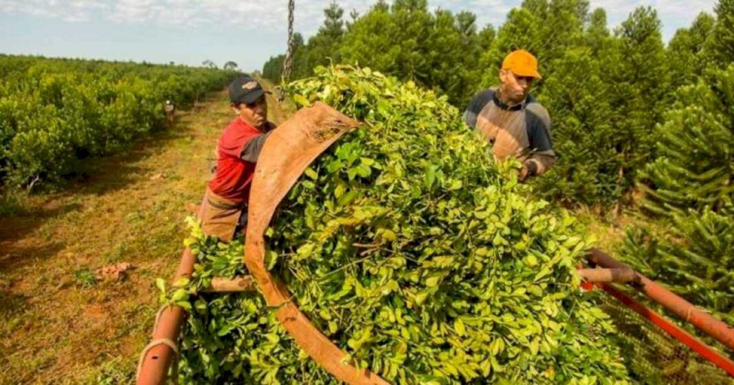 reforma-laboral:-primer-fallo-de-despido-de-un-trabajador-sin-multas-para-el-empleador-por-no-haberlo-registrado