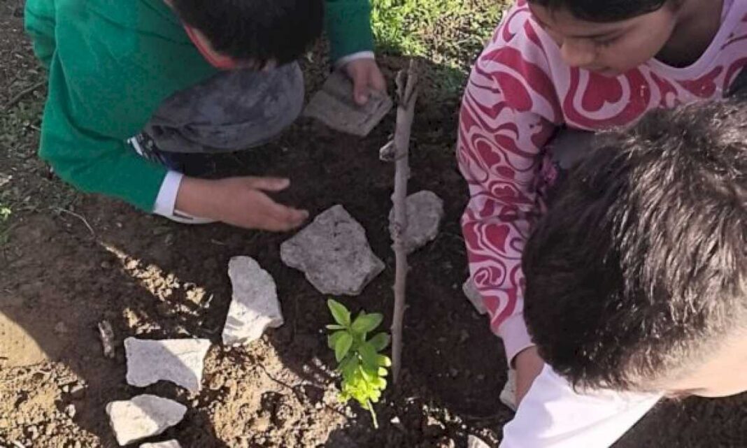 provincia-realizo-actividades-de-educacion-ambiental-en-comodoro-rivadavia