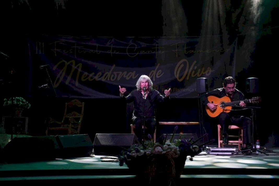 el-arte-de-jose-merce-brilla-en-la-mecedora-de-olivo-flamenca-de-castro-del-rio