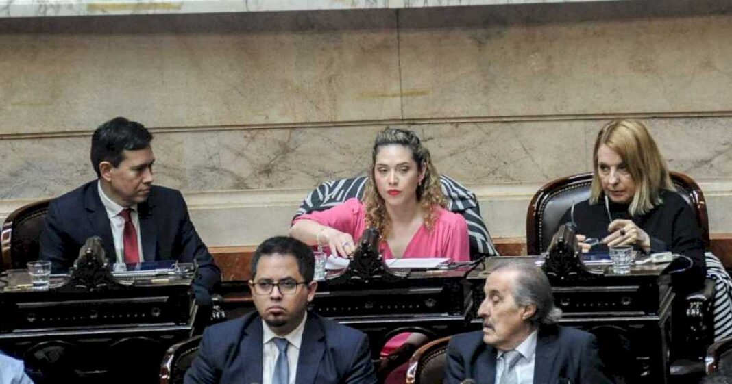 tras-su-expulsion-del-bloque-libertario,-la-diputada-lourdes-arrieta-anuncio-que-votara-en-contra-del-gobierno:-el-ajuste-iba-a-ser-para-la-casta,-no-para-los-jubilados