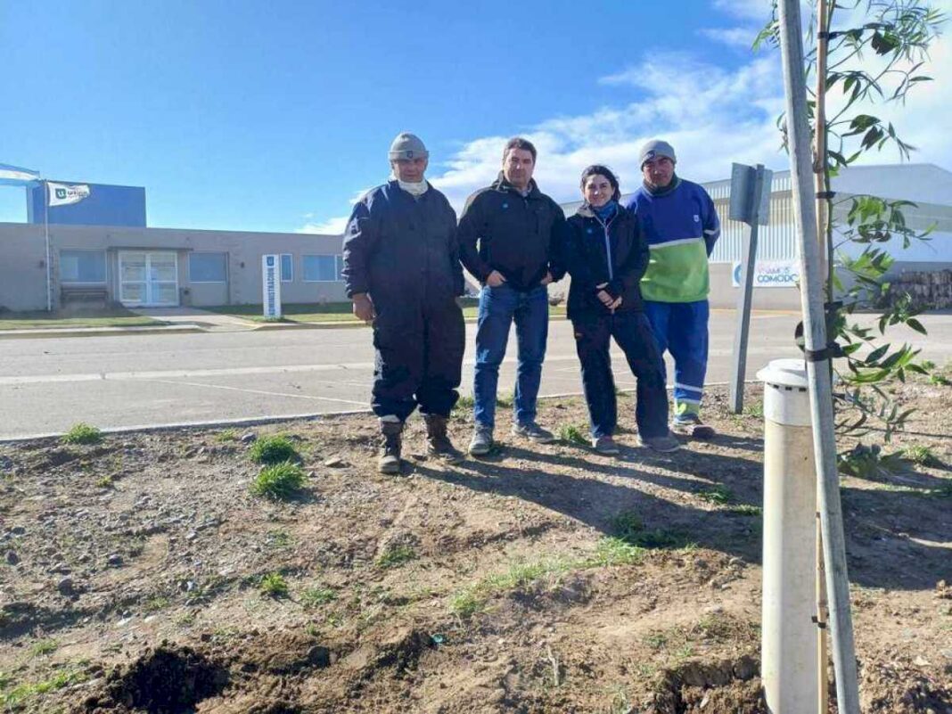 urbana-inicio-con-su-plan-de-arbolado-en-el-parque-ambiental