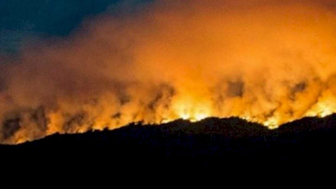 relanzan-campana-para-prevenir-los-incendios-en-la-patagonia